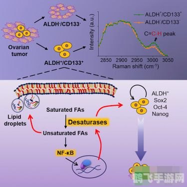新阿瓦隆熔炉手游深度攻略：探索熔炉的奥秘