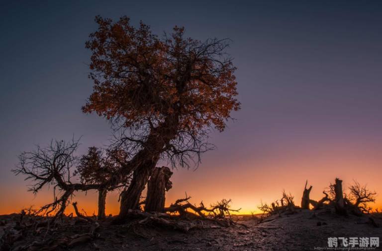 cf魔翼龙,穿越火线魔翼龙全攻略:击败巨龙,制霸战场!