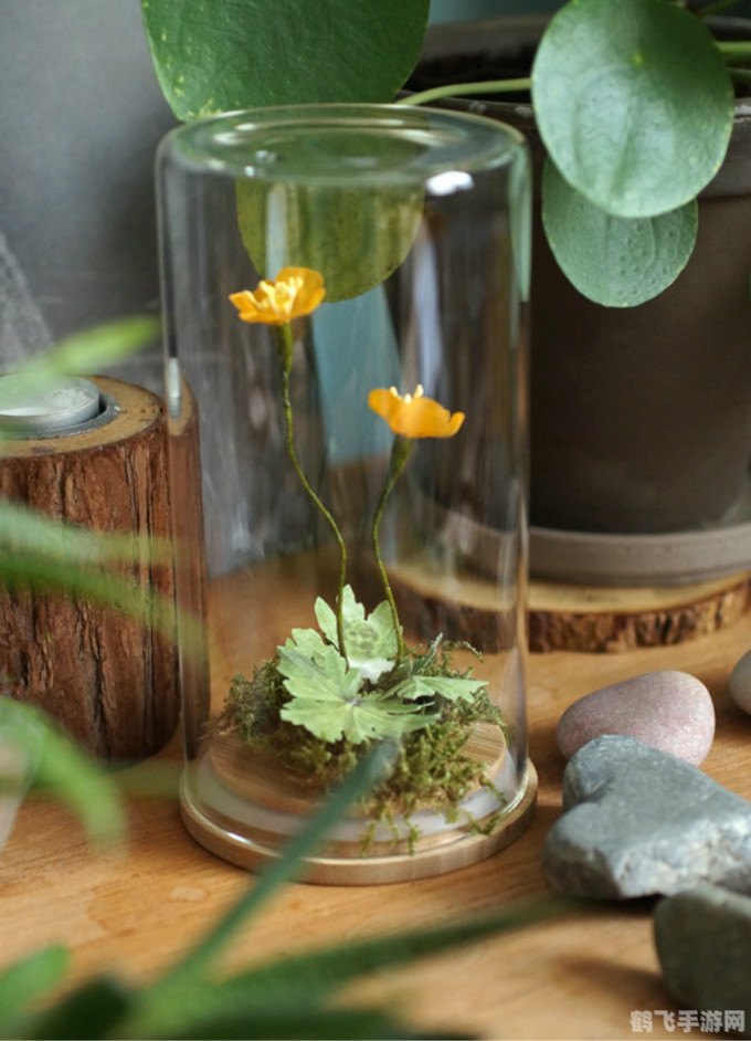 轩辕传奇细麻绳的奥秘与运用攻略