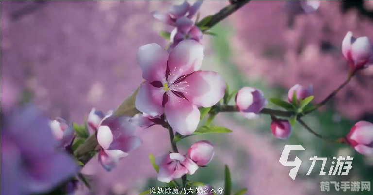 仙剑奇侠传5前传,仙剑奇侠传5前传手游深度攻略:探索奇幻世界,再续仙侠情缘