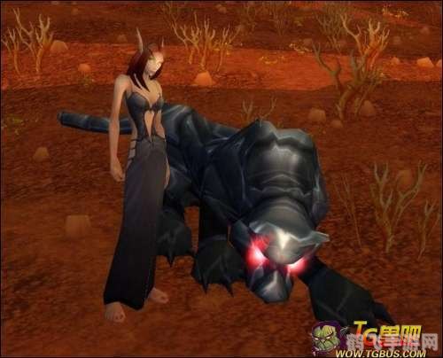 wow刀疤怎么抓,魔兽世界刀疤抓捕攻略,轻松捕获稀有宠物