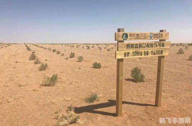 梭梭树根部蚂蚁庄园手游攻略:打造你的繁荣庄园