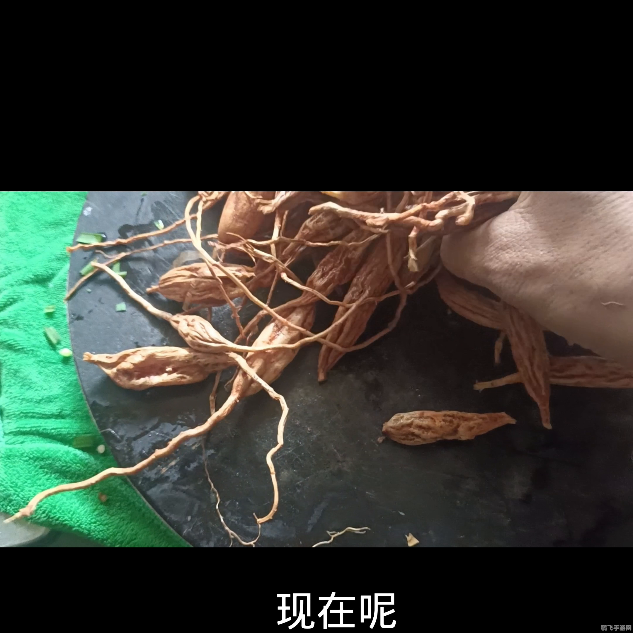 天龙八部采药攻略：草药分布与高效采集技巧