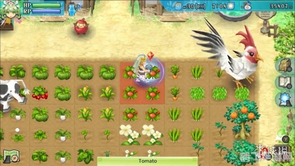 符文工房3金手指,符文工房3金手指攻略:手游玩法大揭秘