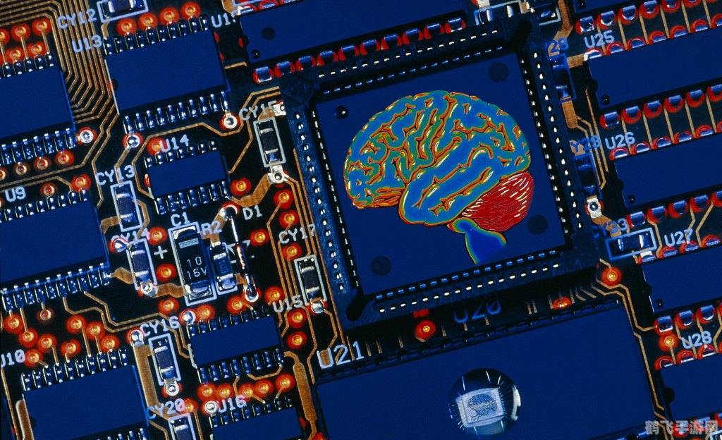 掘墓者深度解析:掌控死亡,成为无敌的存在