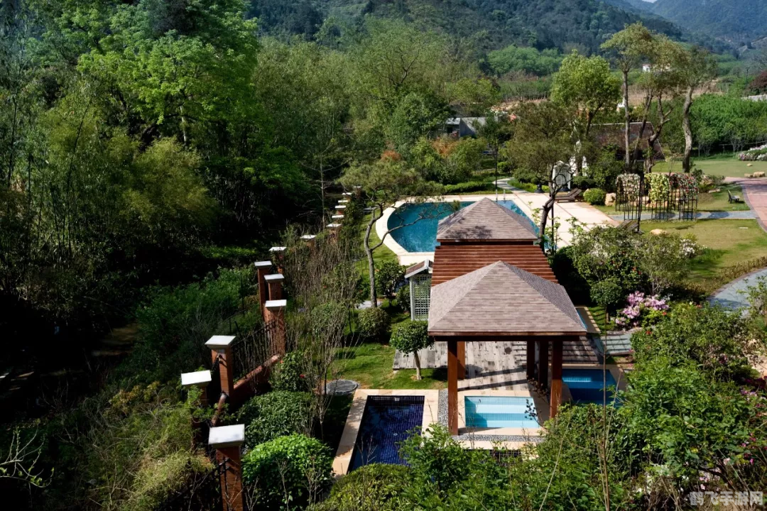 小苏打刷牙蚂蚁庄园:洁白牙齿的新秘诀