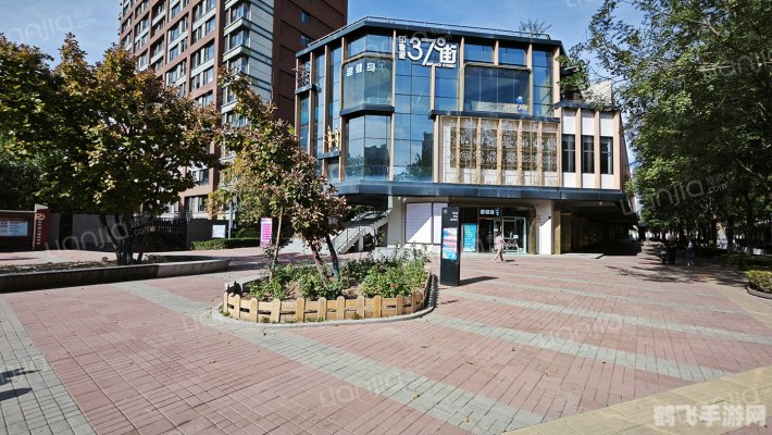 十三号病院深度解析与攻略指南