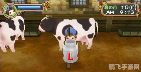 牧场物语蜜糖村结婚,牧场物语蜜糖村：浪漫结婚攻略大揭秘