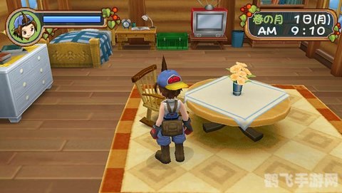 牧场物语蜜糖村结婚,牧场物语蜜糖村：浪漫结婚攻略大揭秘