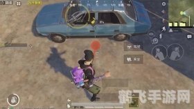 三国战记之邪凤天炽,三国战记之邪凤天炽：翱翔战场的邪凤攻略秘籍