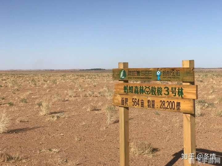 2019年9月蚂蚁森林在联合国获得了什么奖,蚂蚁森林荣获联合国环保奖项,手游玩法大揭秘