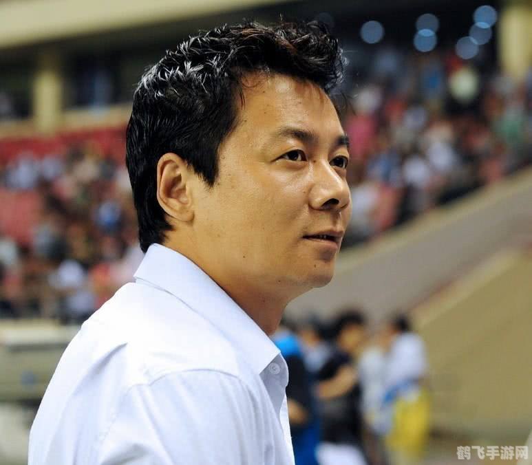 魔兽世界代理权变更,游戏未来展望与攻略指南