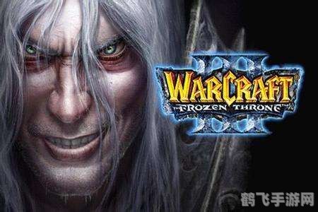 魔兽世界代理权变更,游戏未来展望与攻略指南