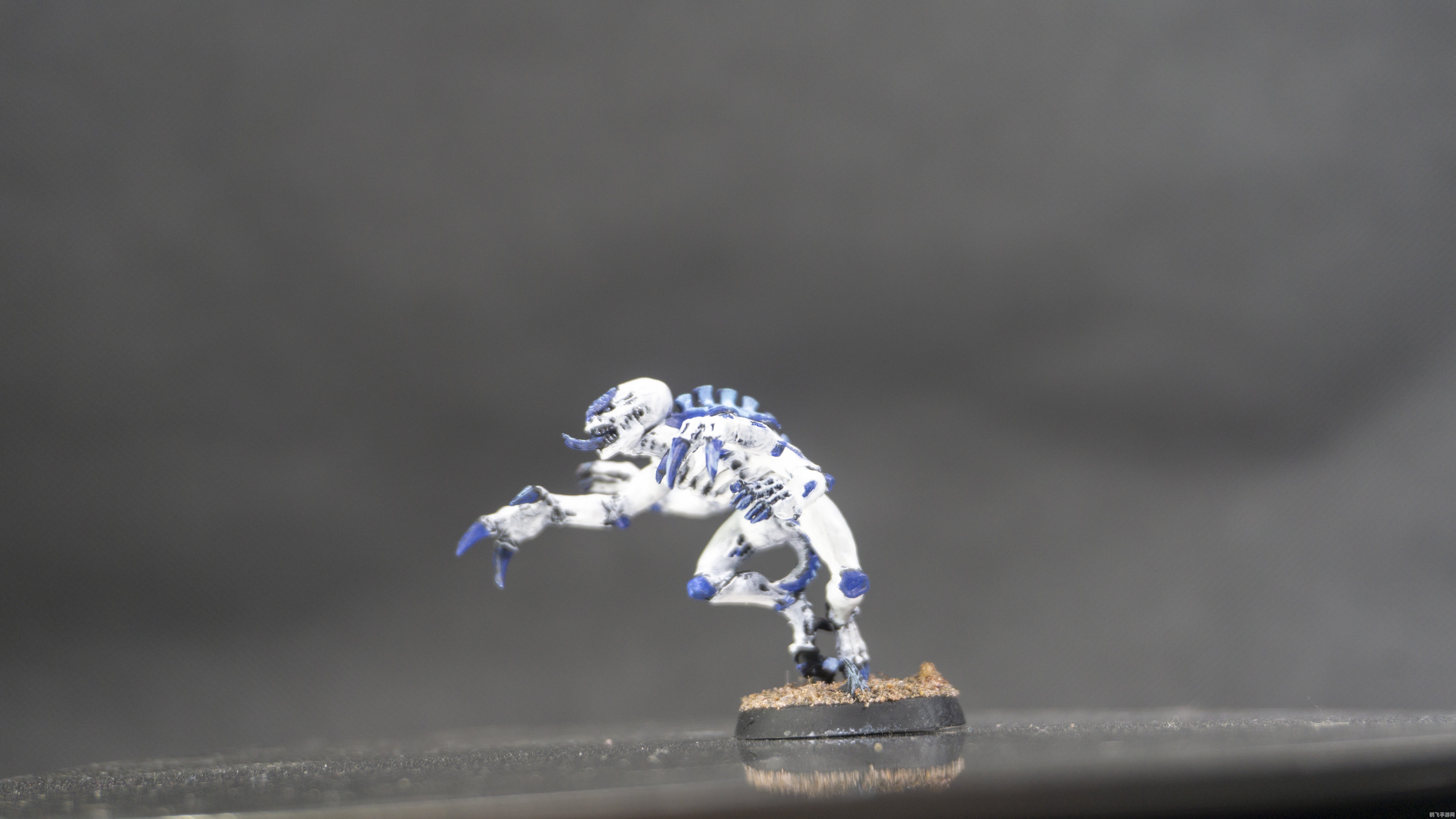 虫虫大作战:生存竞技,虫族争霸全攻略