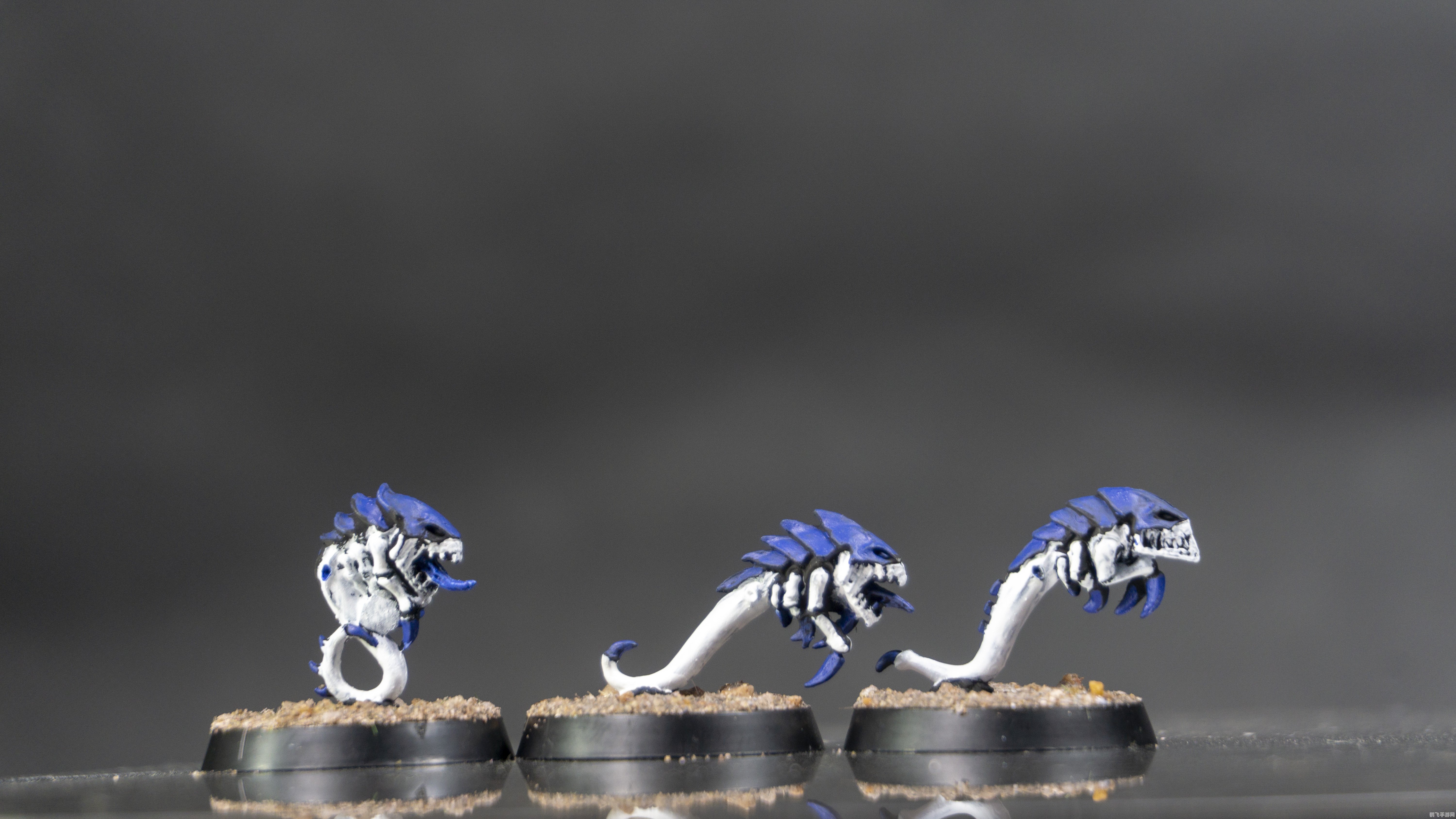 虫虫大作战:生存竞技,虫族争霸全攻略