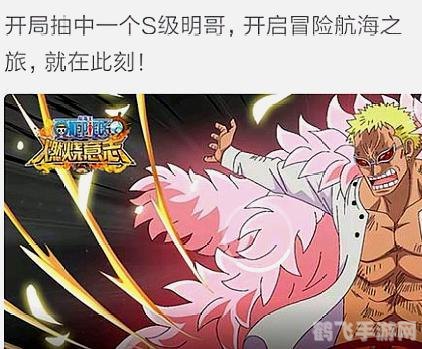 小小海贼王女帝礼包震撼来袭，独家攻略助你称霸海域！