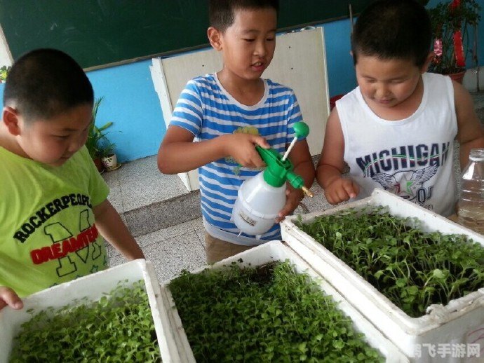 QQ农场2.0全新升级!打造你的专属绿色乐园