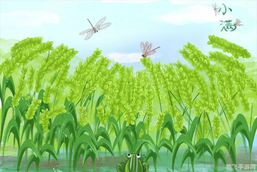 小满中的满是指满月吗,小满节气与手游攻略：探寻“满”的深意与游戏世界的奥秘
