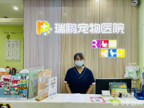 医生小游戏：拯救生命之旅手游攻略