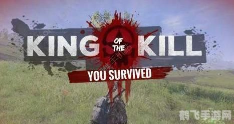 h1z1生存王者,H1Z1:生存王者手游攻略大全——成为生存之王的秘诀