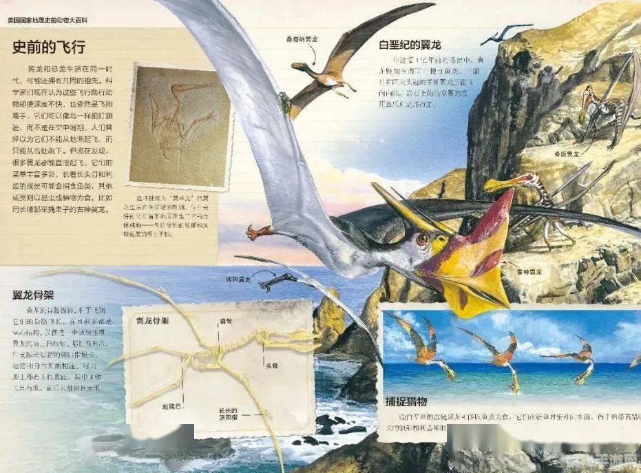 阿凡龙：探索未知的乐趣与攻略指南