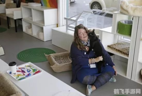 猫咪永久域名收藏地址,探索猫咪世界:手游猫咪大陆深度攻略与玩法解析