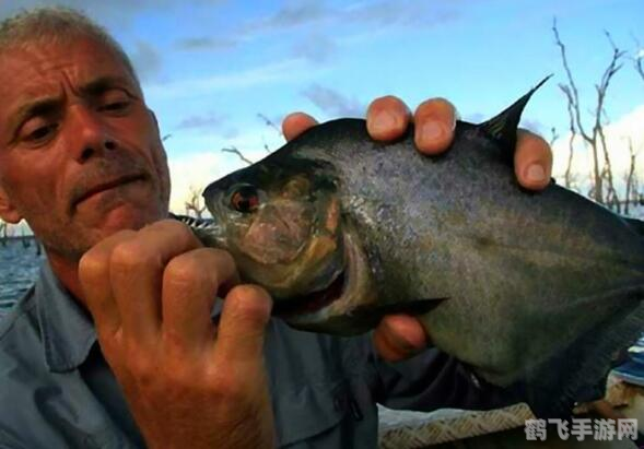 探索绿色杀手:食肉植物与手游的奇妙结合