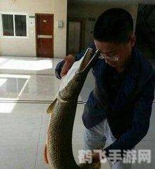 探索绿色杀手:食肉植物与手游的奇妙结合