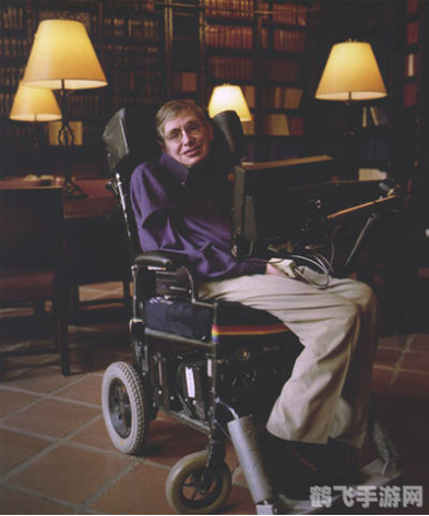 世界上最好玩的游戏,探索游戏巅峰:揭秘世界上最好玩的游戏及其魅力所在