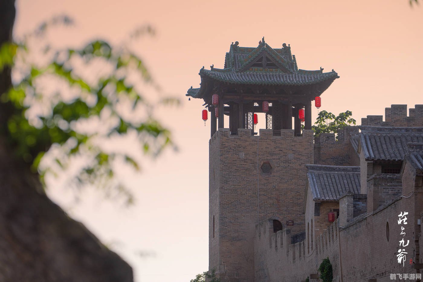 灰谷幽灵狼,灰谷的传说:追踪神秘的幽灵狼