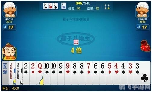 赖子斗地主,赖子斗地主:策略与技巧全解析