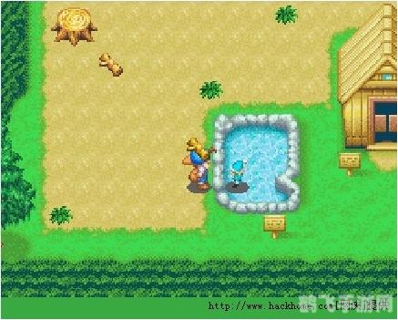 GBA牧场物语金手指攻略:无限资源与快速致富秘诀