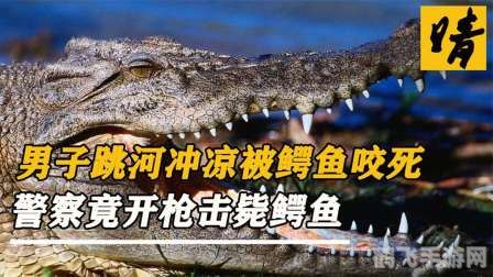 鳄鱼爱冲凉,鳄鱼爱冲凉:畅享夏日清凉,掌握游戏攻略成为冲凉大师!