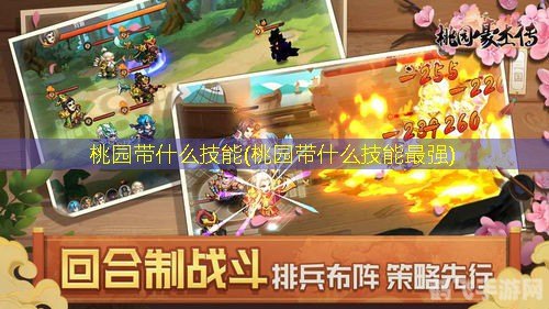 桃园策士加点,桃园策士加点攻略：打造最强智谋团队