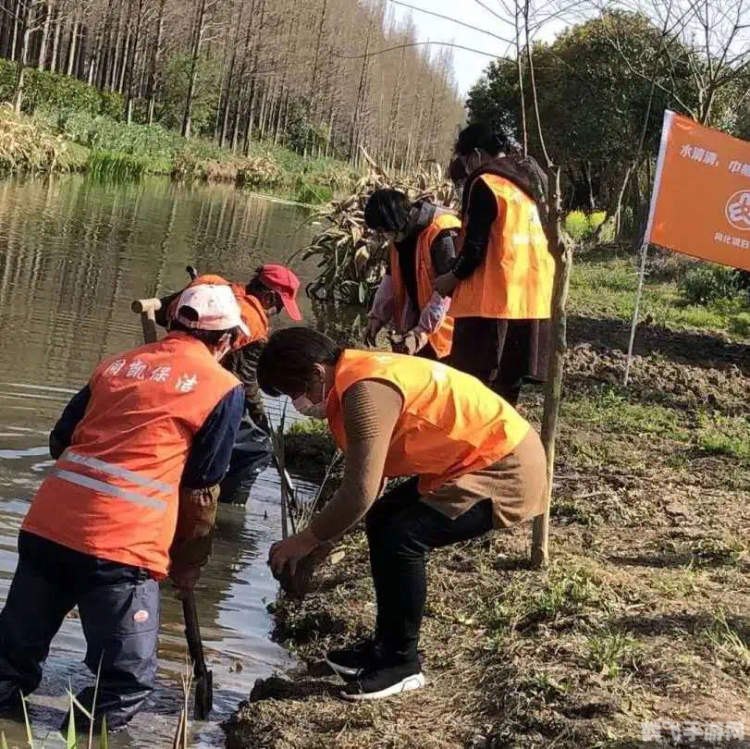 一键预约,智慧医疗:网上预约医院软件使用指南与攻略