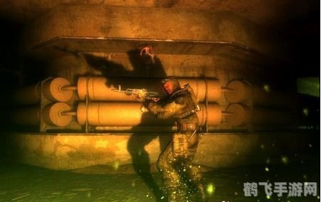 潜行者切尔诺贝利的阴影,潜行者：切尔诺贝利的阴影深度探索与生存指南