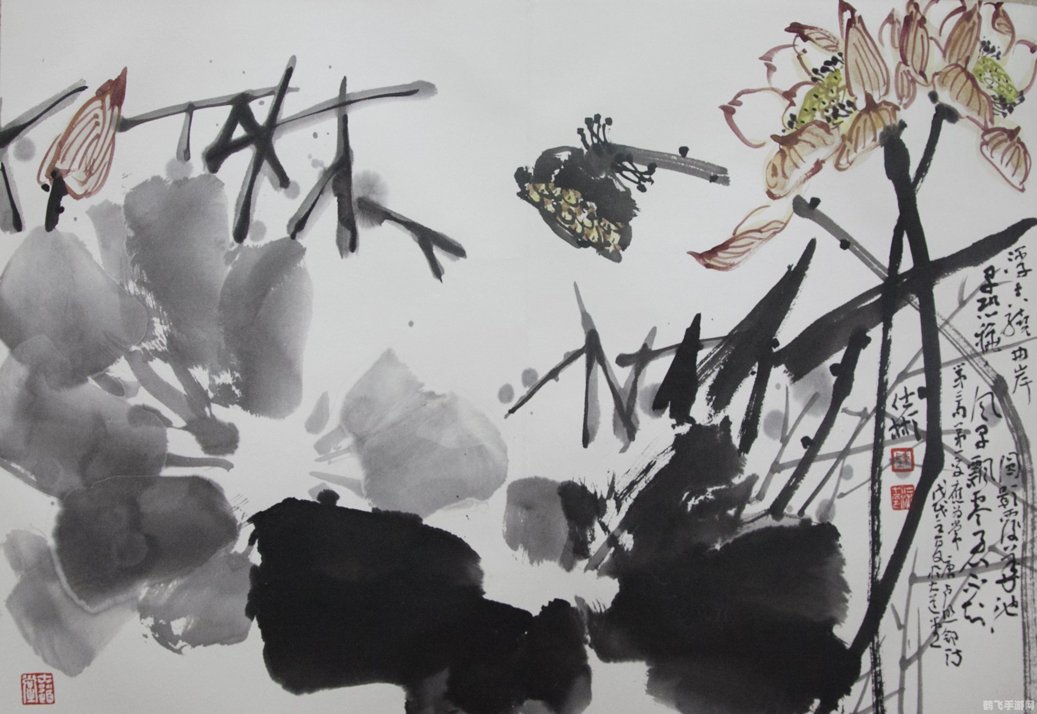 一知app独家揭秘:探索游戏新境界,攻略秘籍全掌握!