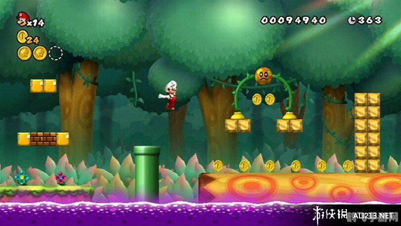 新超级马里奥兄弟wii,新超级马里奥兄弟Wii:重温经典,探索无尽冒险!