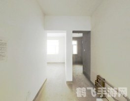 100层电梯攻略：挑战82层技巧大揭秘