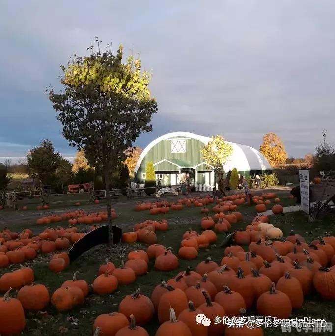 QQ农场礼包大放送,领取攻略一网打尽