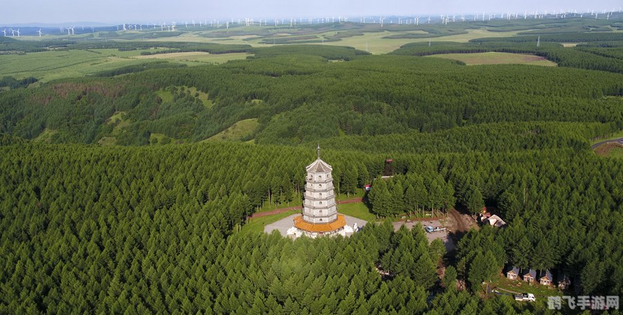 最大的核桃种苗输出地,绿意盎然：探寻核桃种苗帝国的手游攻略之旅
