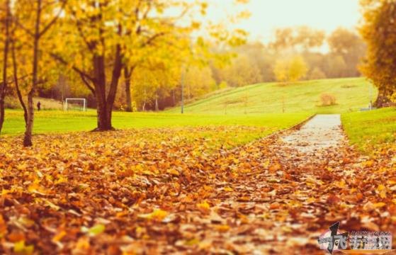 描写秋天的景色蚂蚁庄园,蚂蚁庄园秋日盛景攻略:探索秋天的魅力之旅