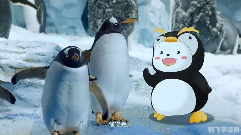 企鹅行走时为什么排成一列纵队,揭秘企鹅列队行走的奥秘，探索极地生物的趣味世界