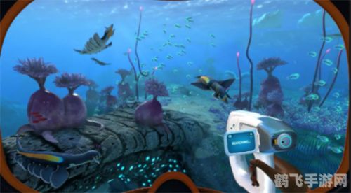 探索深海奥秘:夏眠海洋动物手游全攻略