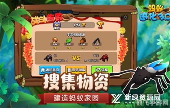 蚂蚁庄园：探寻红色血液之谜与游戏攻略大全