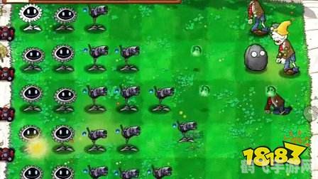 植物大战僵尸手游：攻略与玩法全解析