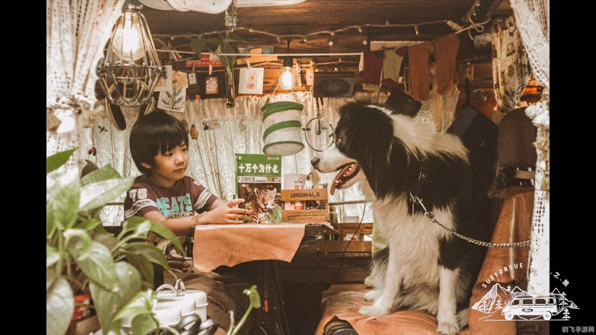 3d桌面宠物,探索虚拟世界，与3D桌面宠物共度欢乐时光