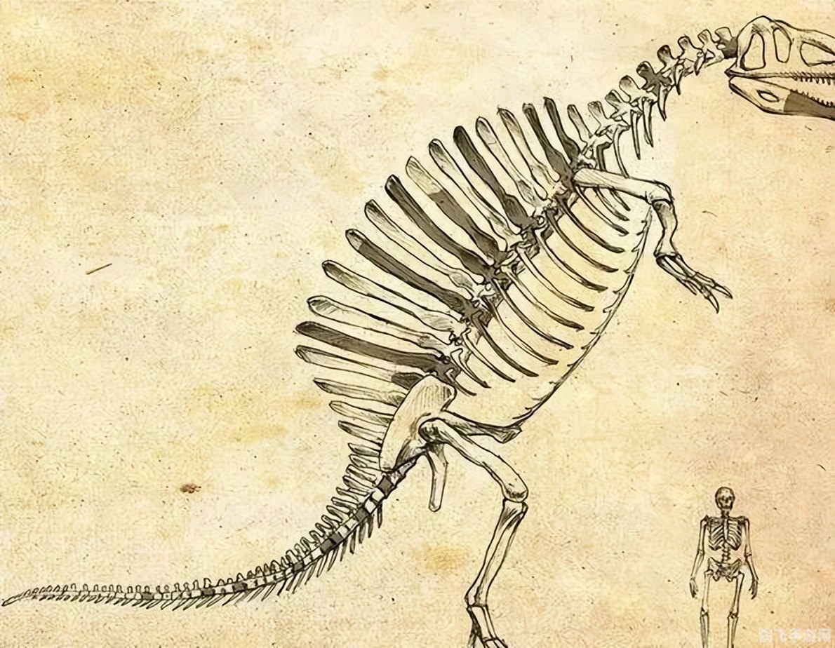 法力龙宝宝,法力龙宝宝深度解析：培养你的龙宝宝成为无敌战神