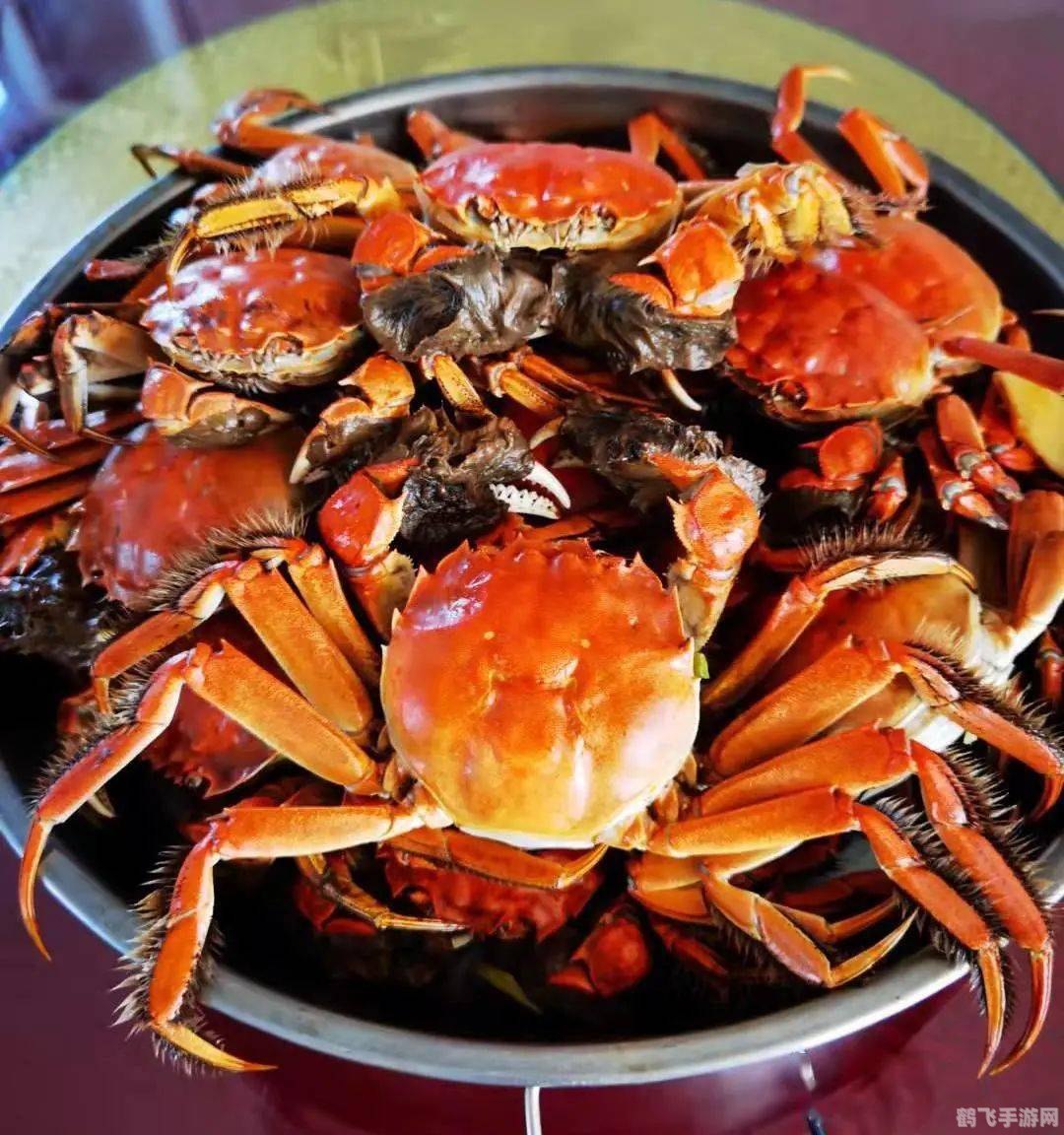 揭秘梭子蟹渔汛：一年几次大丰收？