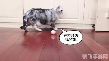 猫猫保龄球,猫猫保龄球萌趣上线，掌握技巧成为保龄球高手！